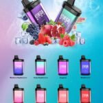 MEGA NINE (9000 PUFFS)