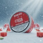 MEGA POUCHES WATERMELON ICE